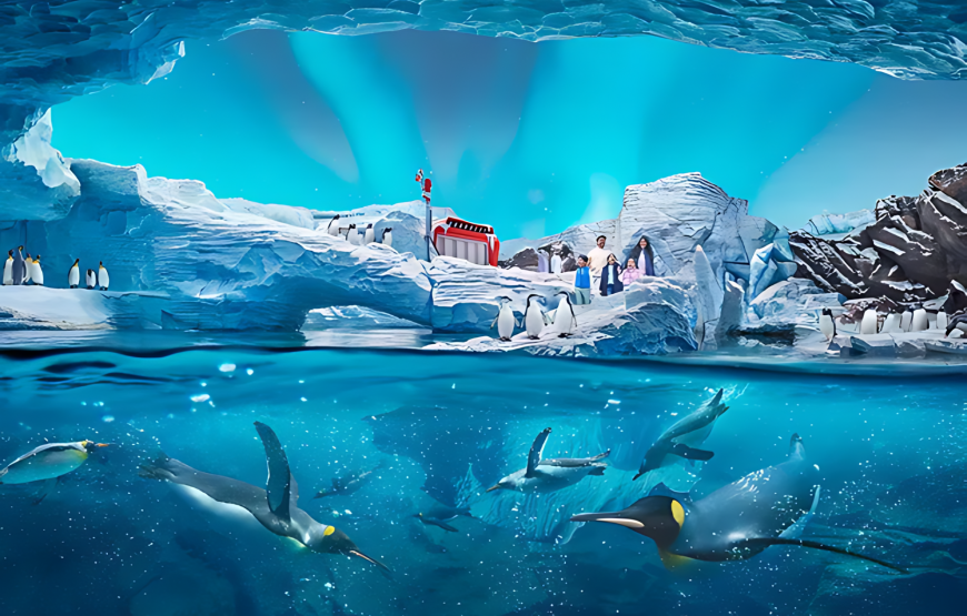 SeaWorld Abu Dhabi