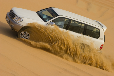 Dubai Desert Safari