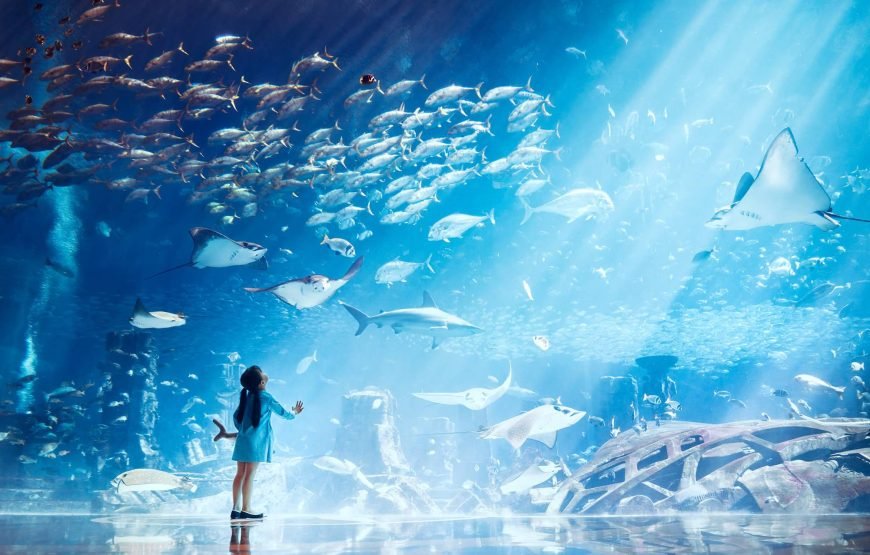 Atlantis Aquaventure & Lost Chambers Aquarium – Combo Superpass