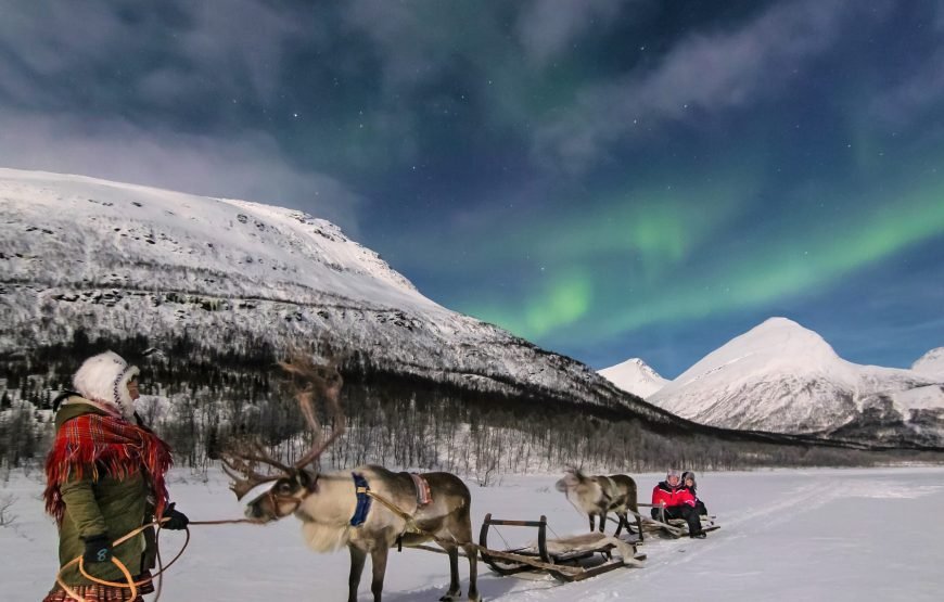 Reindeer Sledding Daytime – Excl. Transport (Low Season)