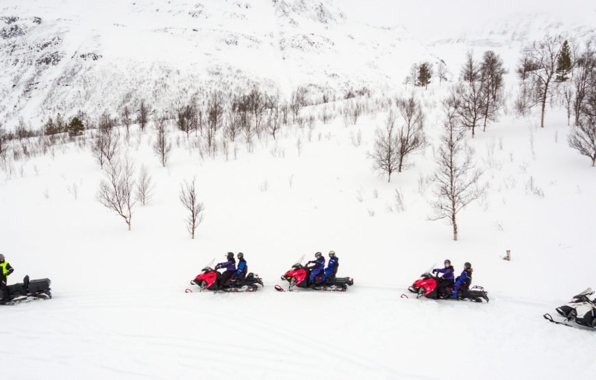 Snowmobiling Midday – Excl. Transport (High Season)