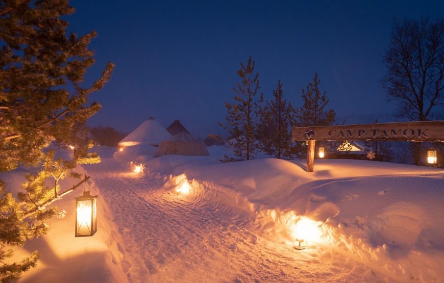 Reindeer Sledding Daytime – Excl. Transport (Low Season)