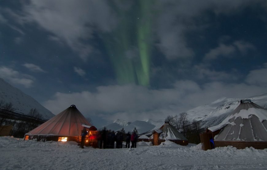 Reindeer Sledding Daytime – Excl. Transport (Low Season)