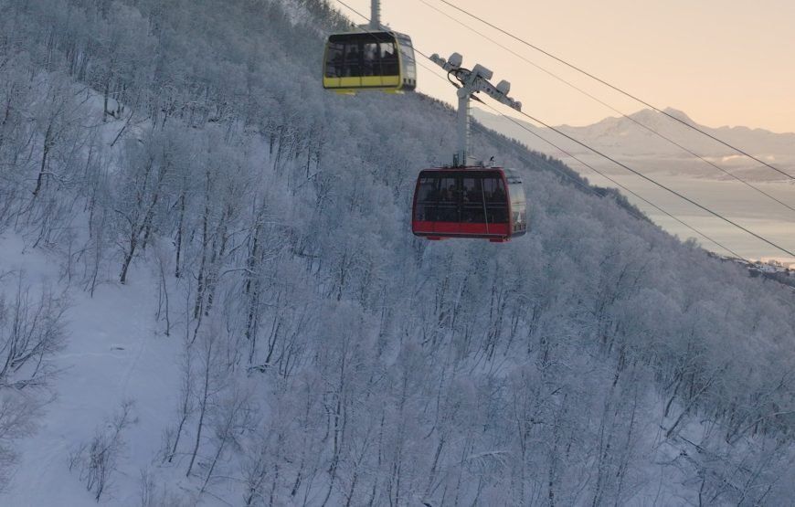 Fjellheisen Cable Car One-Way Ticket (Low Season)