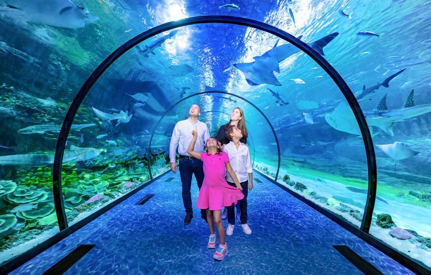 The National Aquarium Abu Dhabi – Beyond The Glass