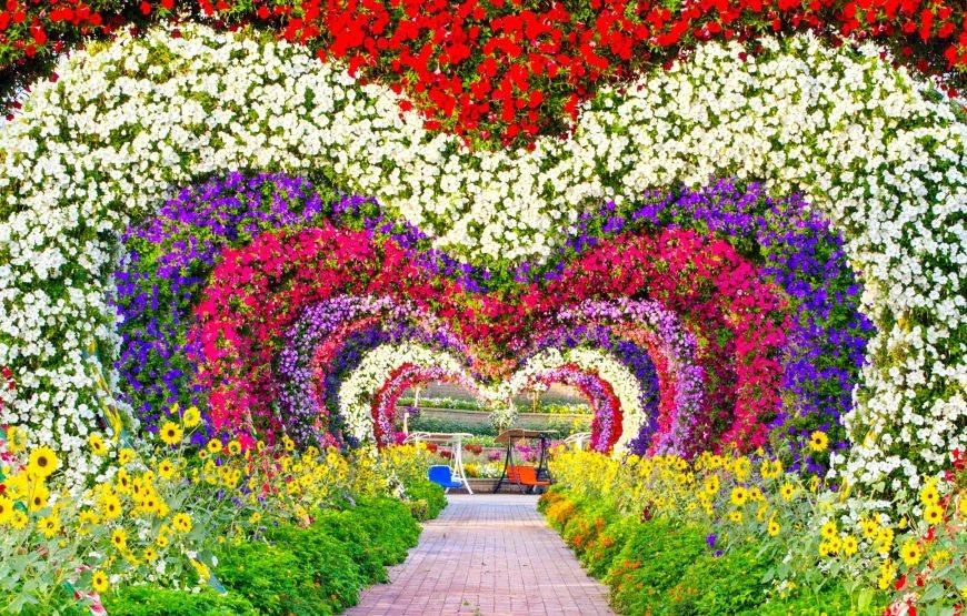 Dubai Miracle Garden