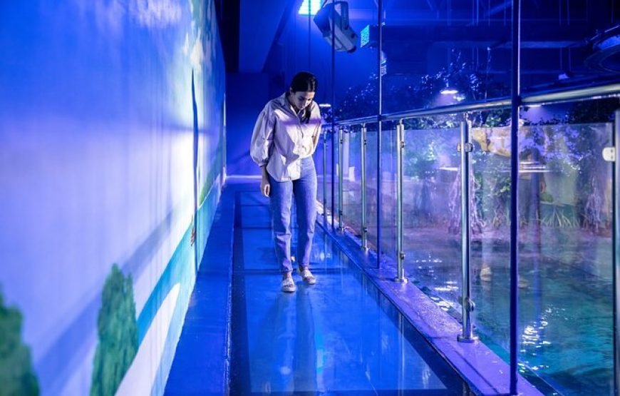 The National Aquarium Abu Dhabi – Beyond The Glass