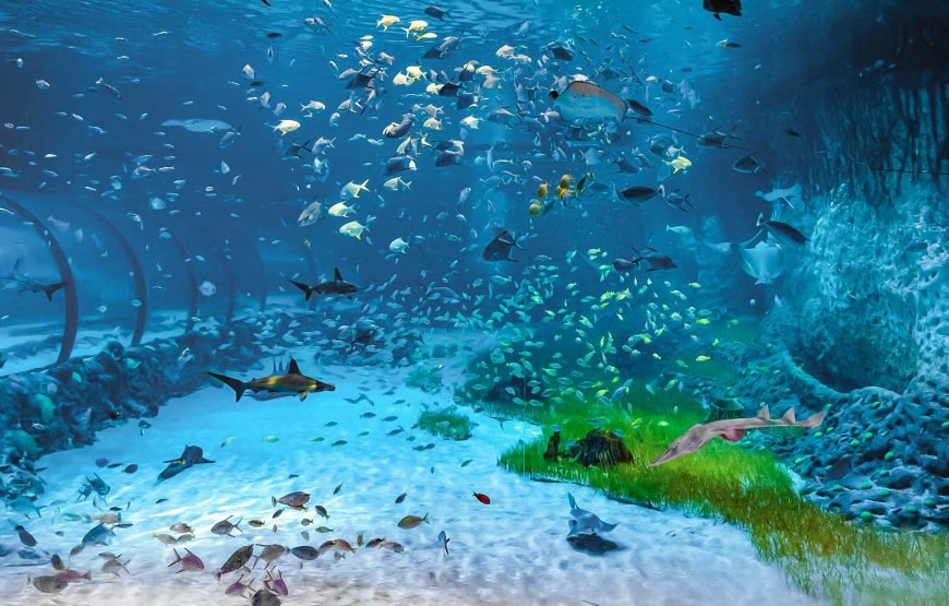 The National Aquarium Abu Dhabi – Beyond The Glass