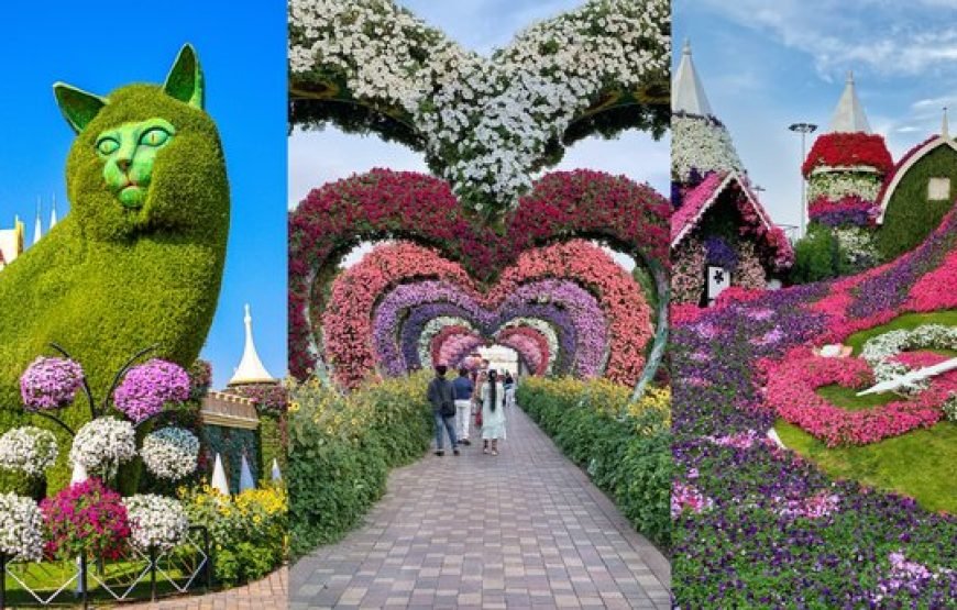 Dubai Miracle Garden