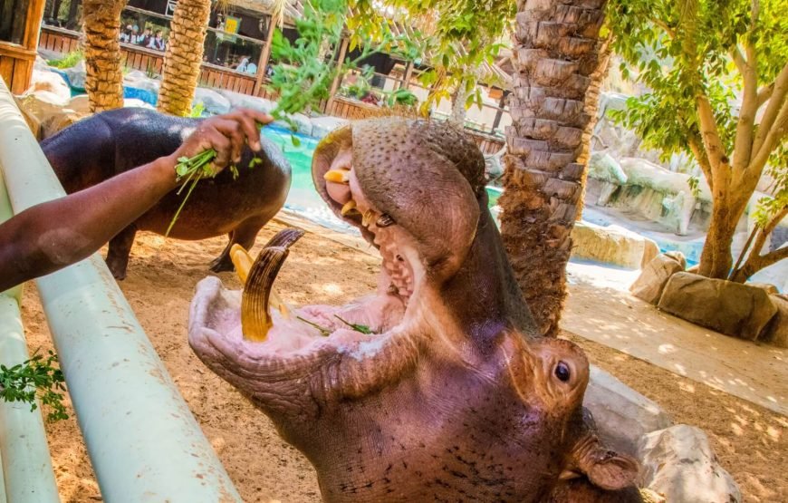Emirates Park Zoo & Resort