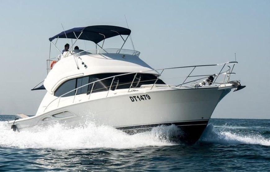 Maxoel Cruiser 47 Yacht