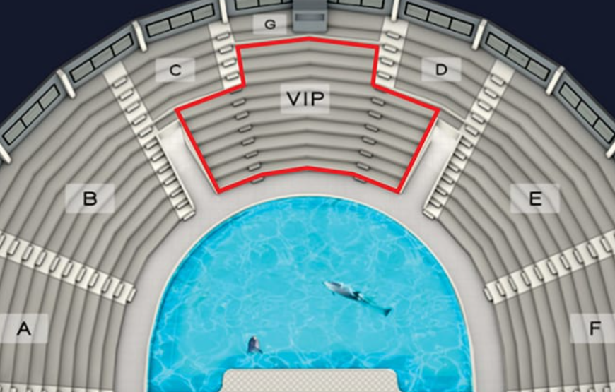Dubai Dolphinarium (Dubai Dolphin Show) Dolphin & Seal Show VIP Tickets