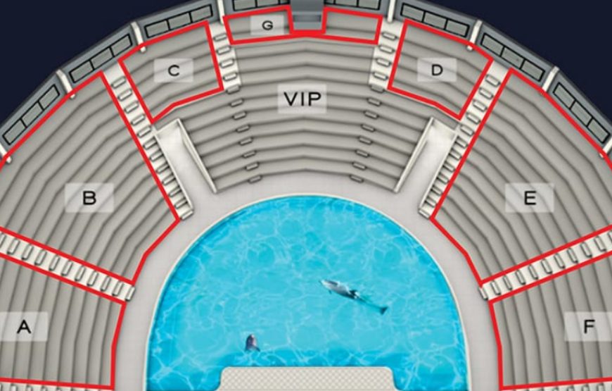 Dubai Dolphinarium (Dubai Dolphin Show) Dolphin & Seal Show Regular Tickets
