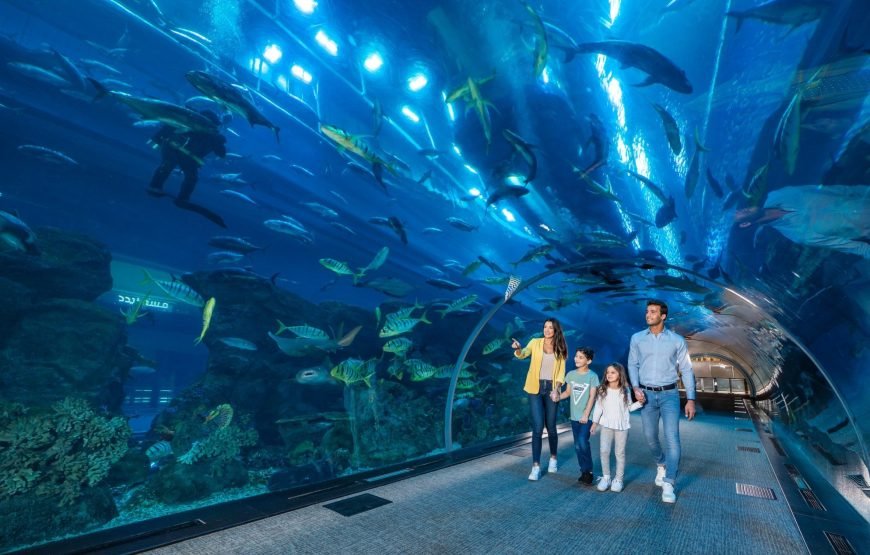 Dubai Aquarium & Underwater Zoo – Ultimate Experience Admission