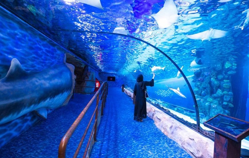 Dubai Aquarium & Underwater Zoo – Ultimate Experience Admission