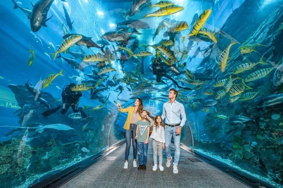 Dubai Aquarium & Underwater Zoo – Ultimate Experience Admission