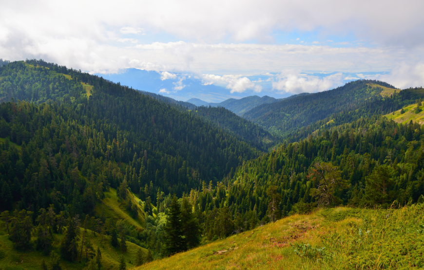 4 Days 3 Night Georgia Tour ( 1 Night Borjomi/Bakuriani 2 Nights Tbilisi) – 3 pax