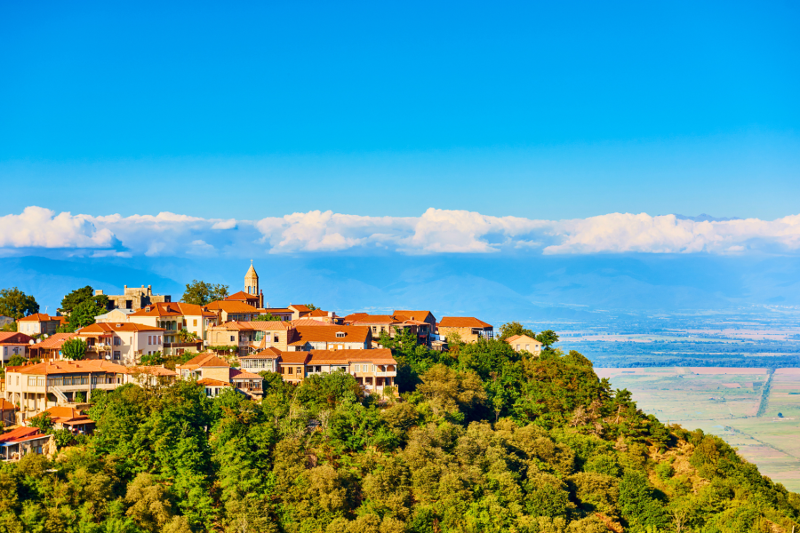 5 Days 4 Night Georgia Tour ( 4 Nights Stay in Tbilisi ) – 2 pax